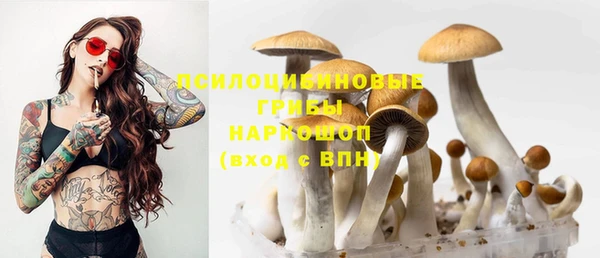 MDMA Premium VHQ Бородино